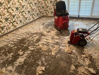 Flooring Floor Demo Removal