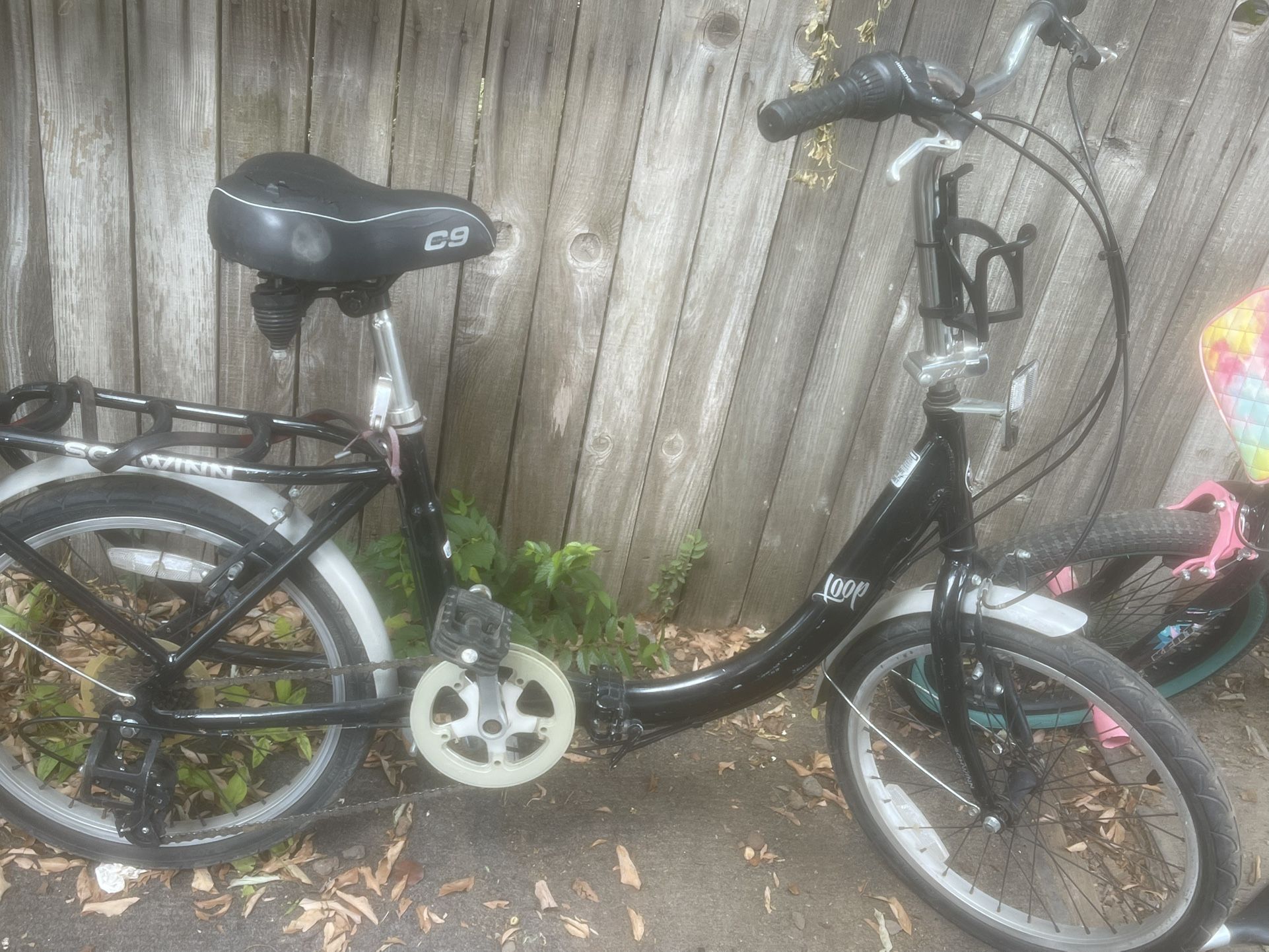 Schwinn Loop