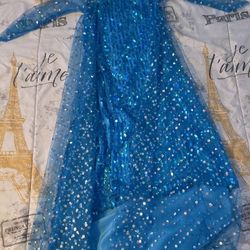 Elsa Frozen Dress $20