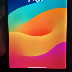 iPad 11 Inch Pro Cellular WiFi 