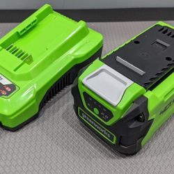 Greenworks 40V 2.0Ah Lithium-Ion Battery USB Power bank + Charger