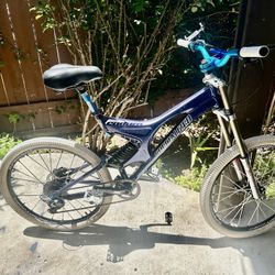 Specialized Enduro Downhill Mountain Bike