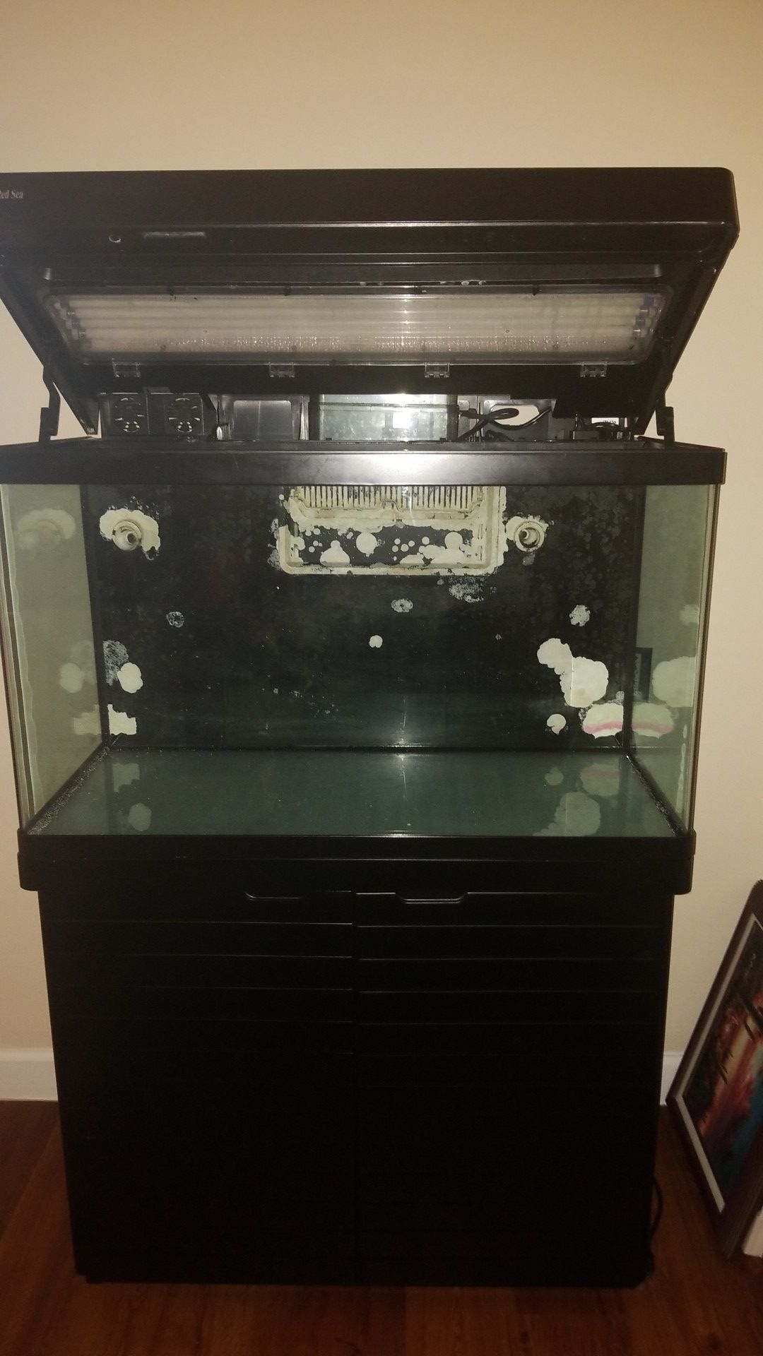 Red Sea Max 250D - Great Buy