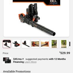 Bad Boy Backpack Blower