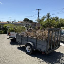 Dump 