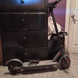 Electric Scooter: Brand: Ladped.   Color: Black And Grey.  