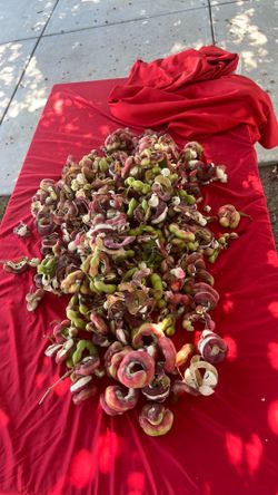 Guamuchiles frescos