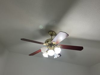 Fan ( Ventilador)