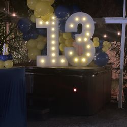 Wood Marquee Numbers 4ft