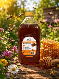 Fresh honey from San Antonio
