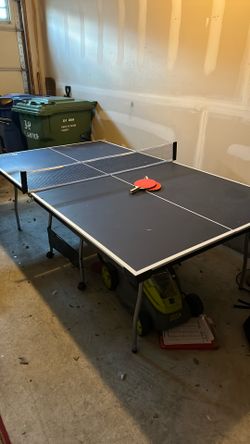 Ping Pong Table