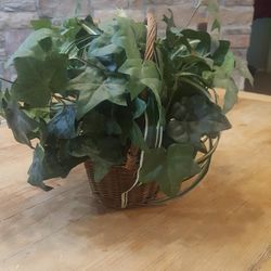 Decorative Artificial plant