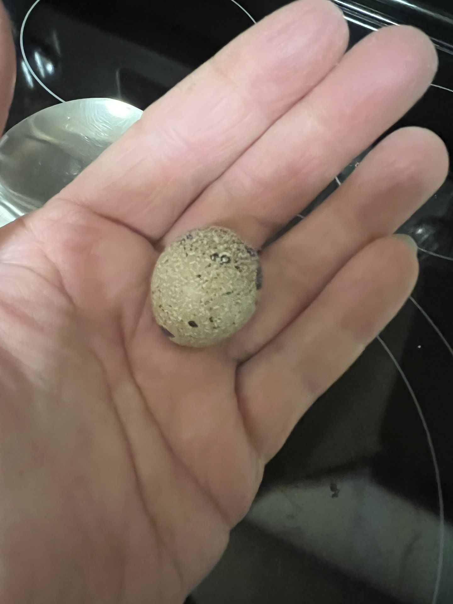 Quail Eggs