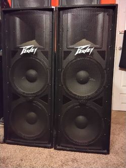 Peavey 15" Double Speakers