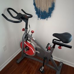 Sunny Indoor Cycling Bike