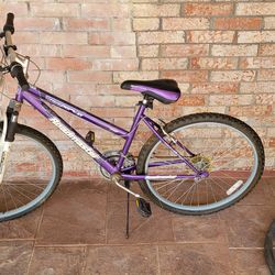 Roadmaster Bicycle $75