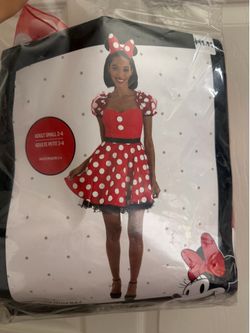 Minnie Mouse Adult costume