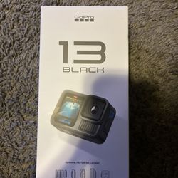 Gopro Hero 13