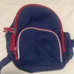 Pottery barn kids back pack