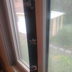 Western Leather Belt