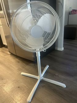 White Fan 