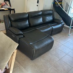 Dark Leather Couches