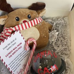 Santa’s Cam Box  