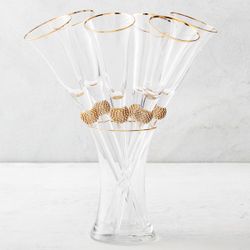 Toasting flutes set Of 6