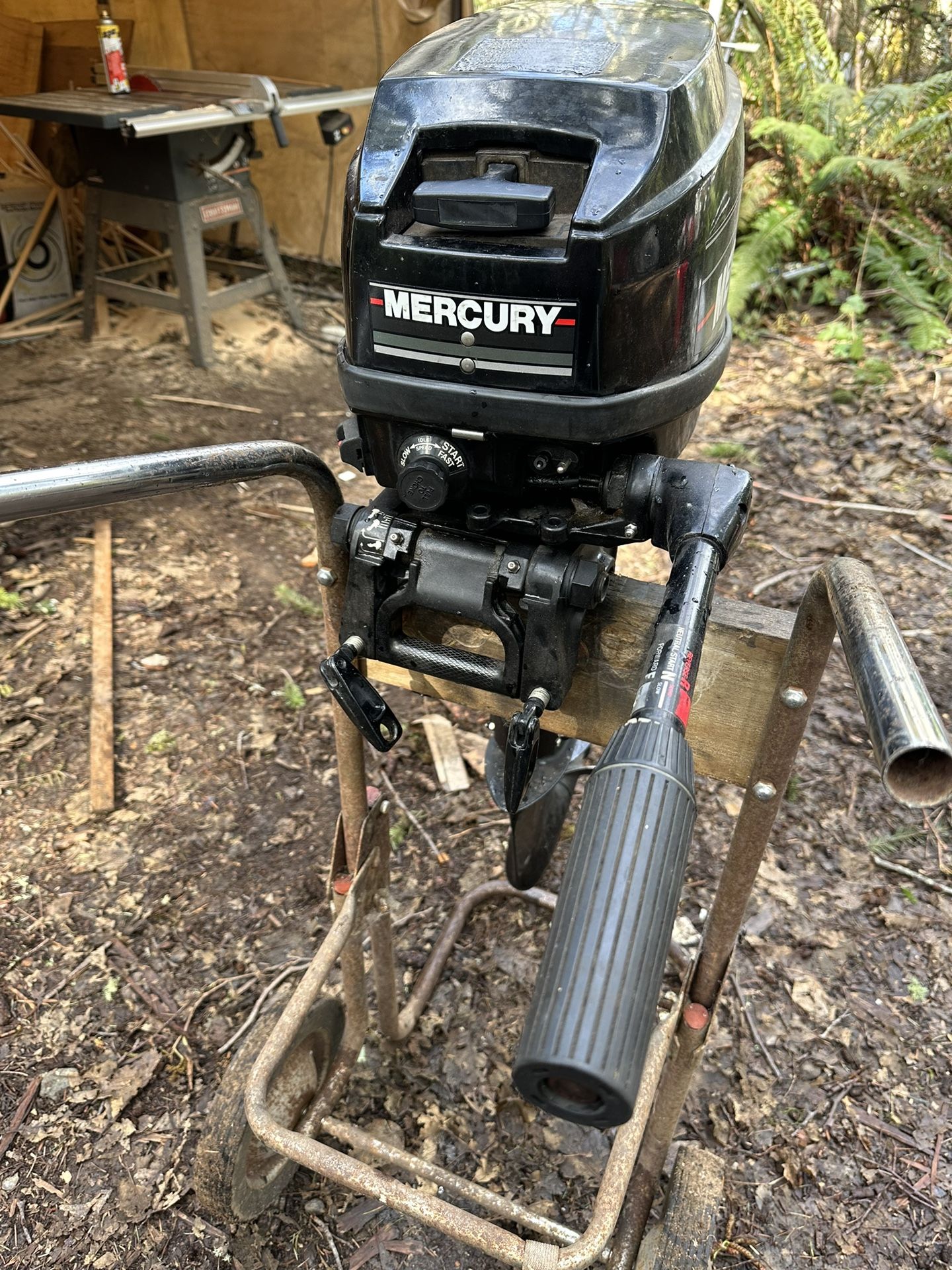 Mercury 9.9 for Sale in Longbranch, WA OfferUp