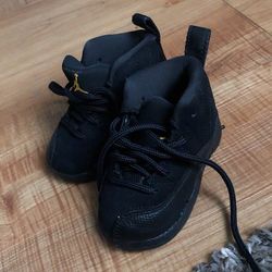 Air Jordan 12