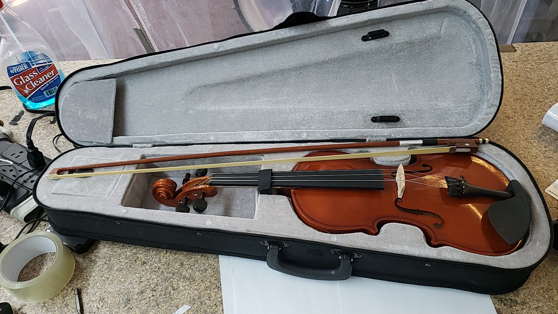 Violin with case