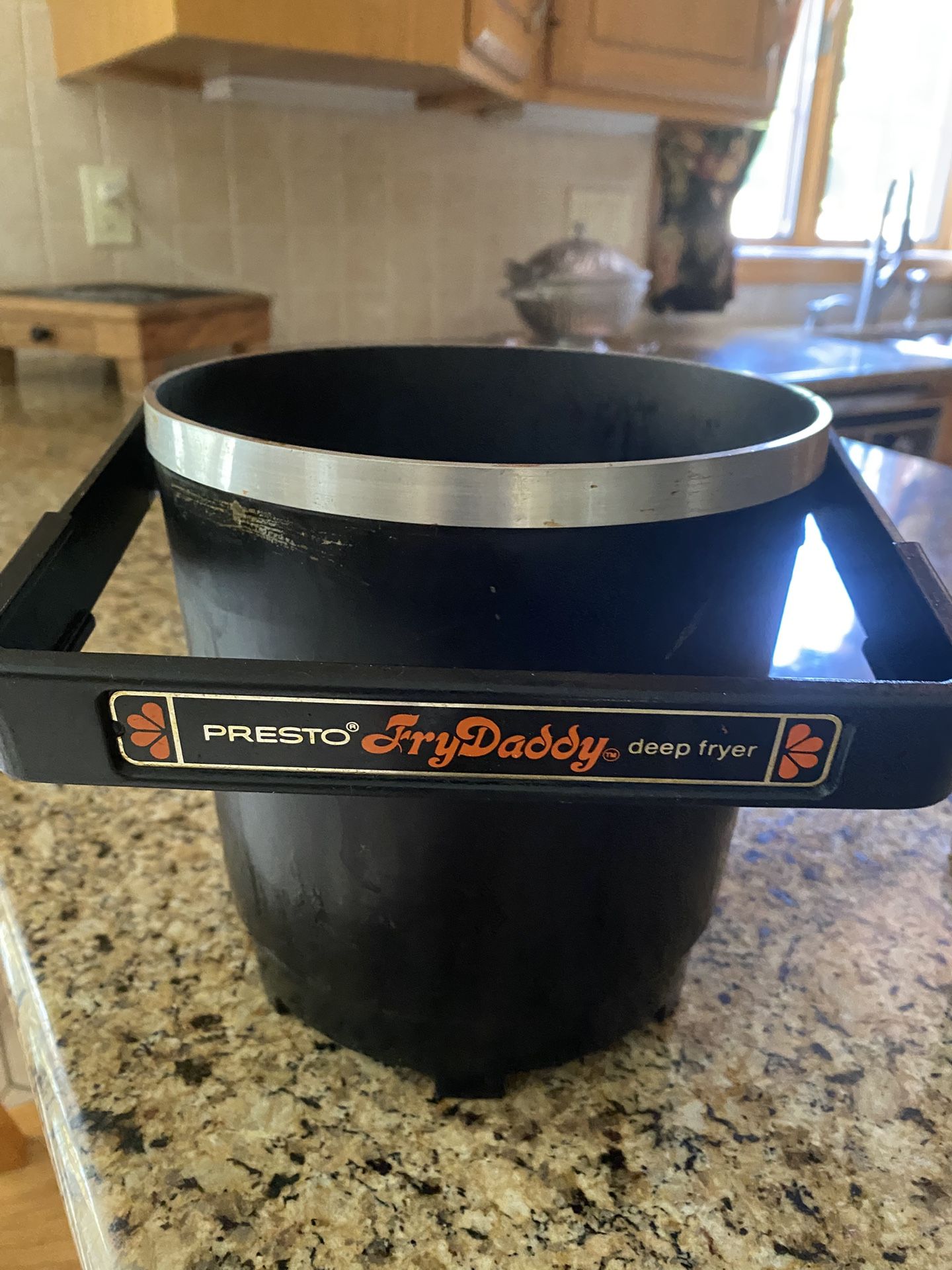 Deep Fryer Fry Baby
