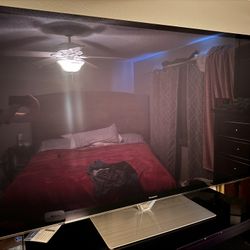 65 Inch Panasonic Plasma 65VT60