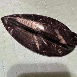 Unique Fossil 