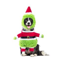  Monster Funny Dog And Cat Uniform Green Santa Outfits Party Favors
