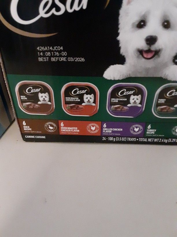 Cesar Dog Food For Sell Pickup And Cash Only