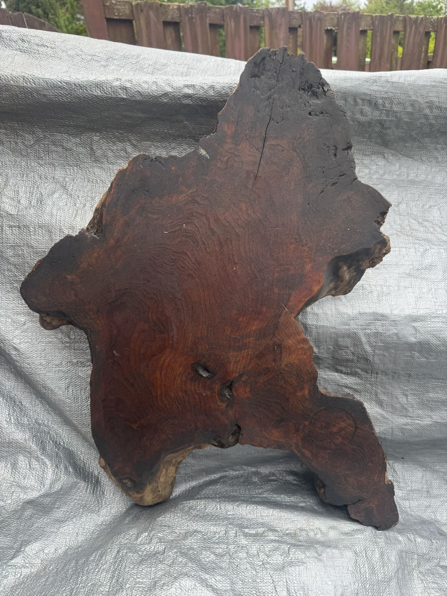 Live Edge Wood Art β Sasquatch Silhouette Vibes πͺ΅π£ β $100 Obo