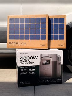 3400-Watt EcoFlow DELTA 2 Max  With X Boost Technology + 2 pcs 110W Solar Panel