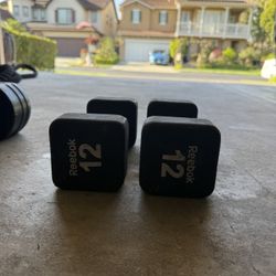 2x 12lb Dumbbells 
