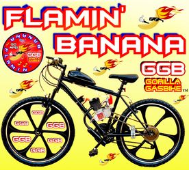 NEW MOTORIZED BIKE SYSTEMS STARTING AT $299.99