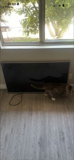 Monitor Lg 50inch