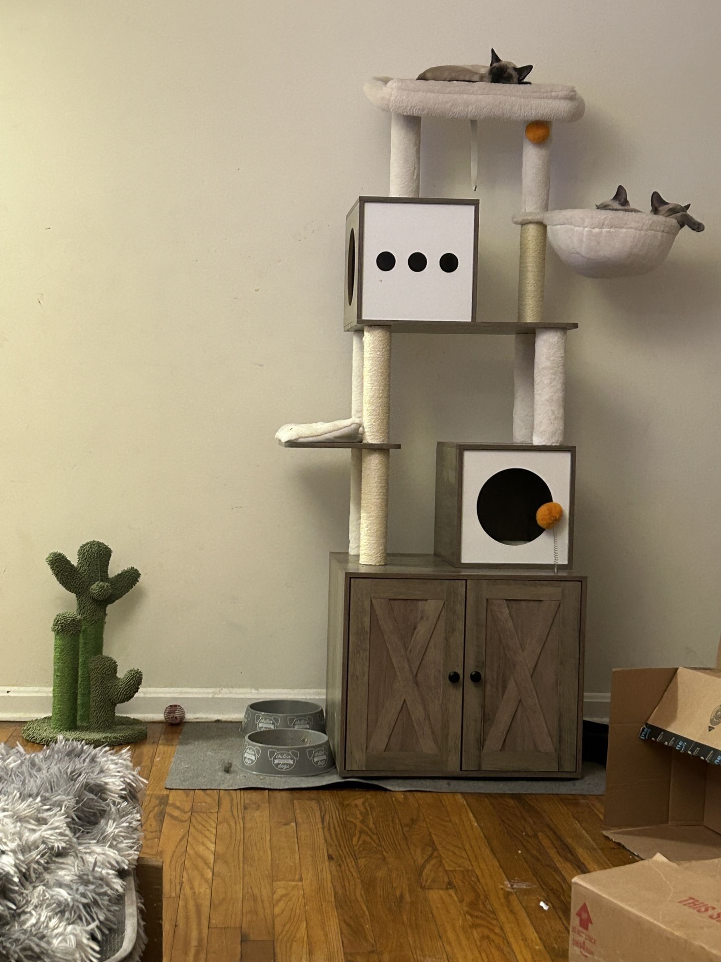 Cat Tree For Sale