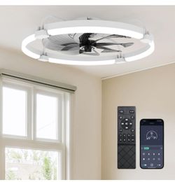 Ensenior 24 Inch Flush Mount Ceiling