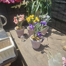 Decorative Flowers In Pot 