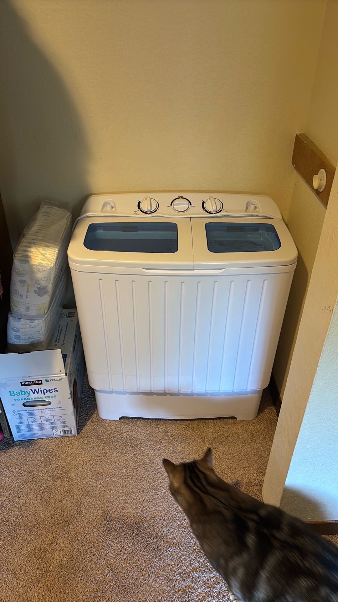 portable washer and spinner