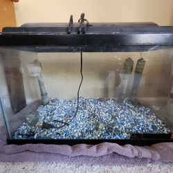 10 Gallon Aquarium