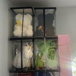 Rose Bears $20 Each