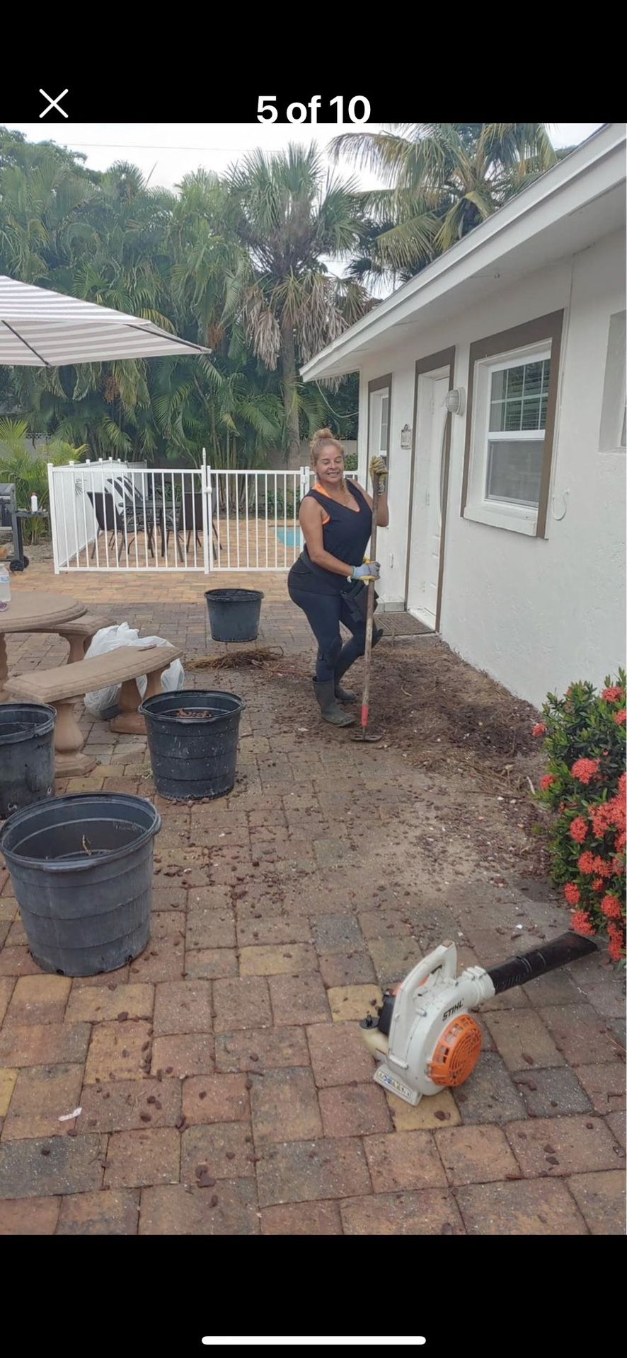 Beautiful Plants And Palms