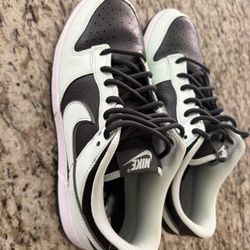 Nike 9.5 Dunks 