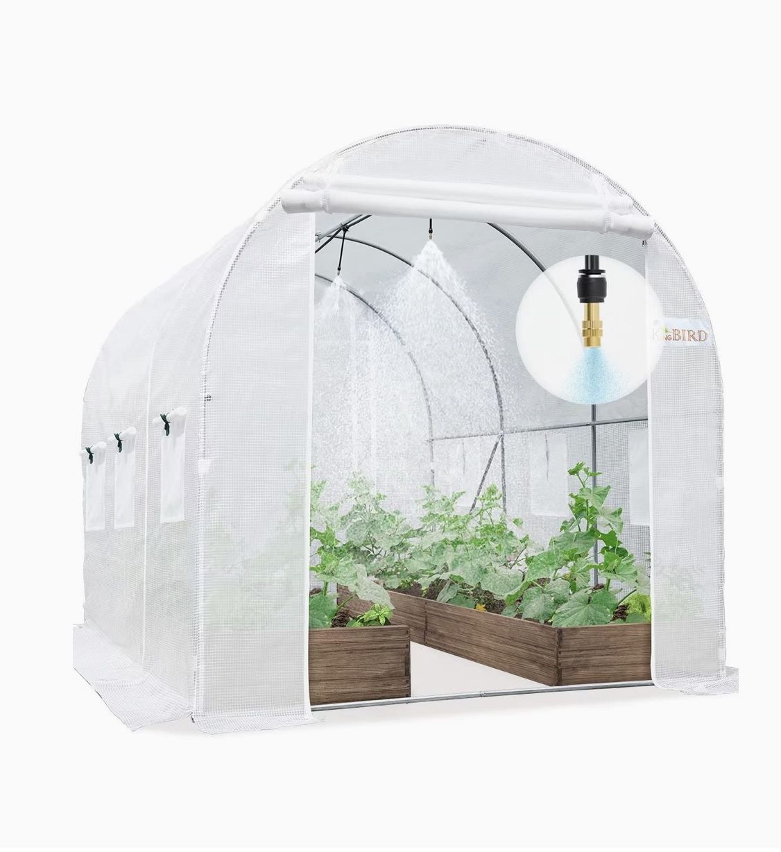 Greenhouse  10x6.6